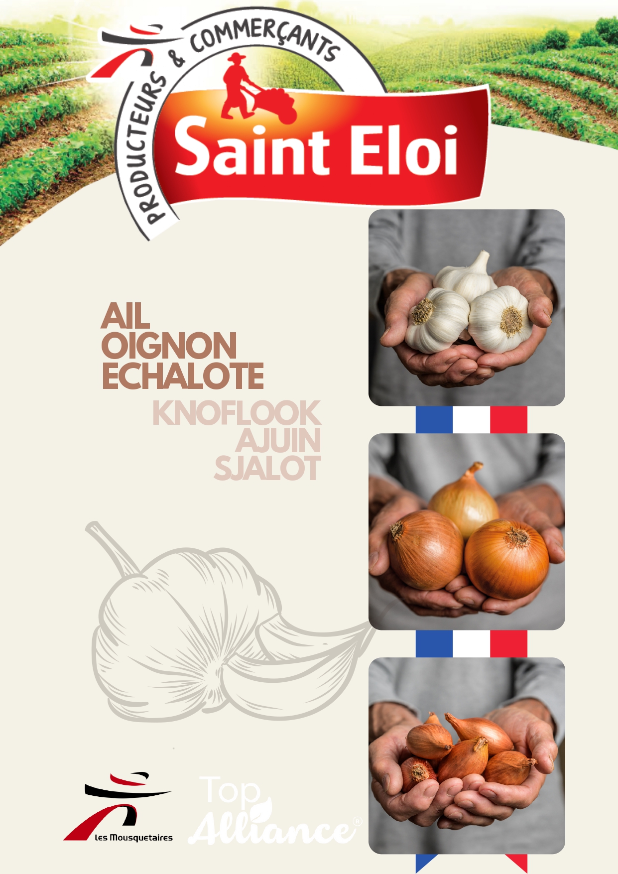 Coopérative de producteurs implantée à Beaumont-de-Lomagne en Occitanie, Top Alliance structure et valorise les filières agricoles.