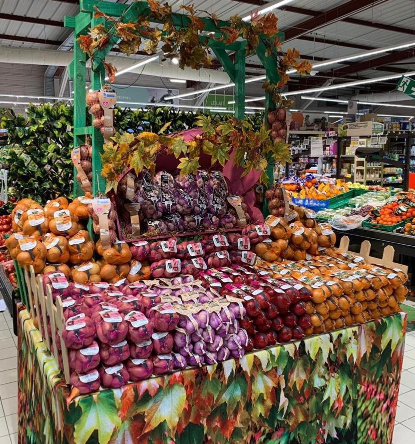 Coopérative de producteurs implantée à Beaumont-de-Lomagne en Occitanie, Top Alliance structure et valorise les filières agricoles.