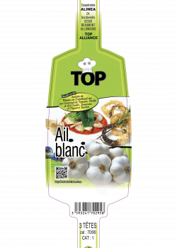 Etiquette_Ail Blanc 3 Tetes TOP